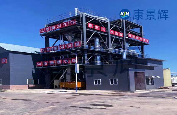 我需要采購mvr蒸發(fā)器，能處理硫酸鈉和硫酸銨廢水，一天300噸，有哪些廠家可以推薦給我